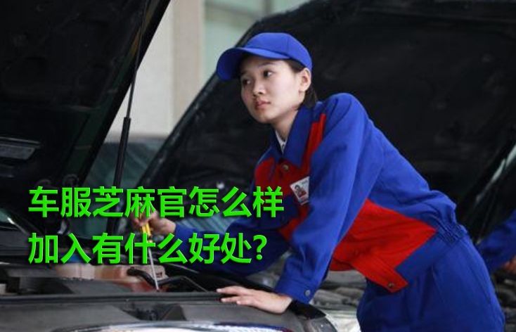 车服芝麻官怎么样？加入有哪些好处？
