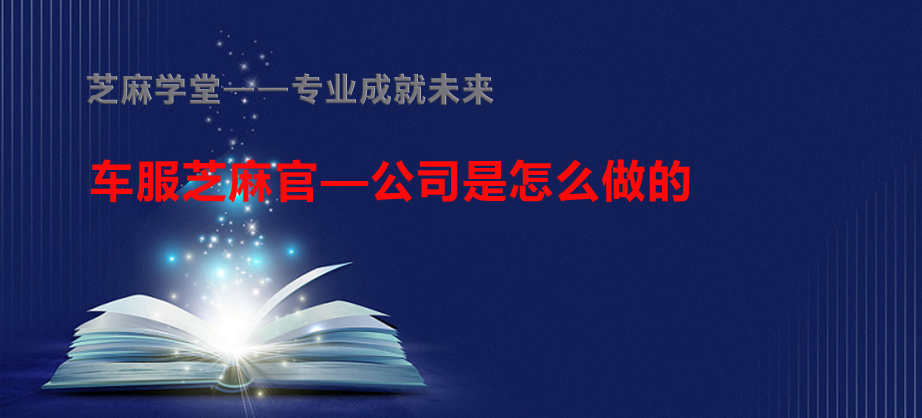 【芝麻学堂】第138节：运营模式公司是怎么做的