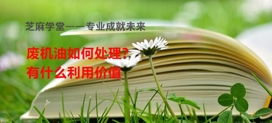【芝麻学堂】第142节：废机油如何处理？有什么利用价值